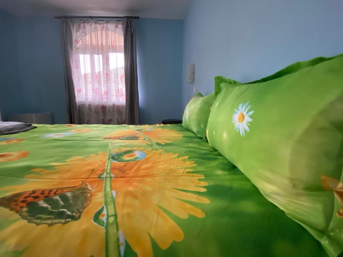 Penzion Casa Cristalina&Dumi Albac Exteriér fotografie