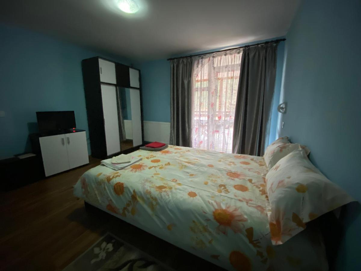 Penzion Casa Cristalina&Dumi Albac Exteriér fotografie