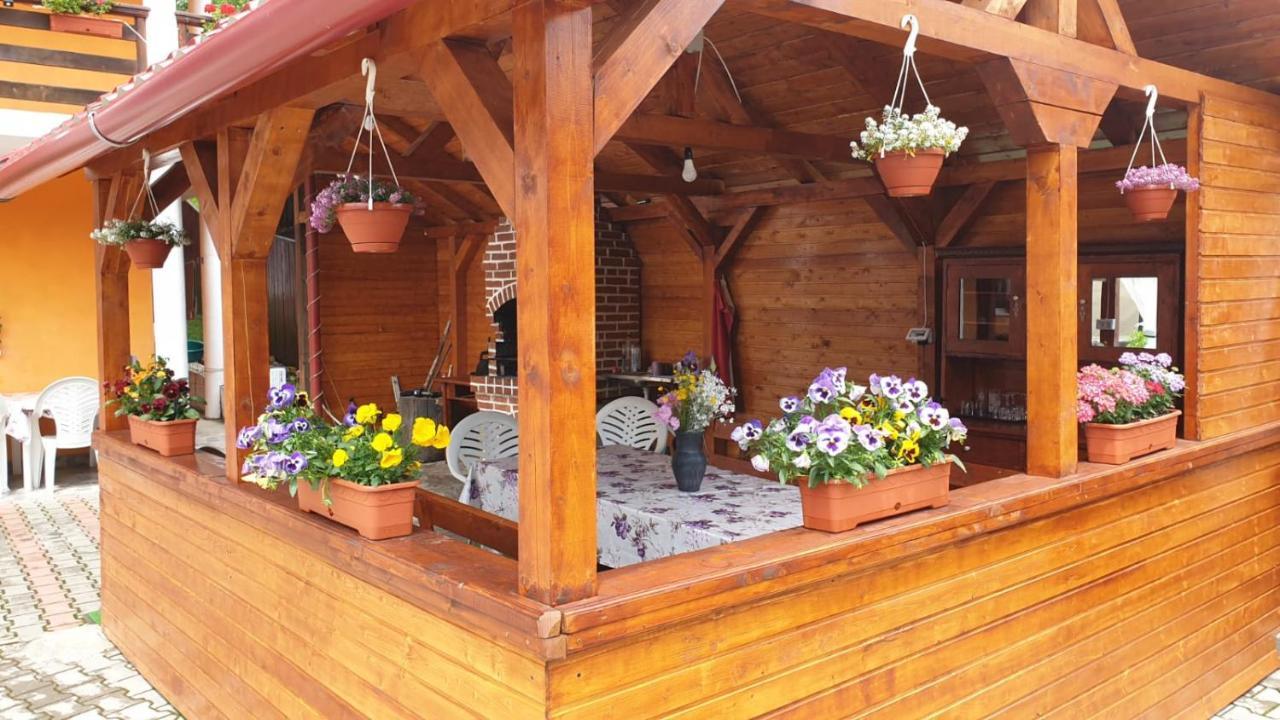 Penzion Casa Cristalina&Dumi Albac Exteriér fotografie