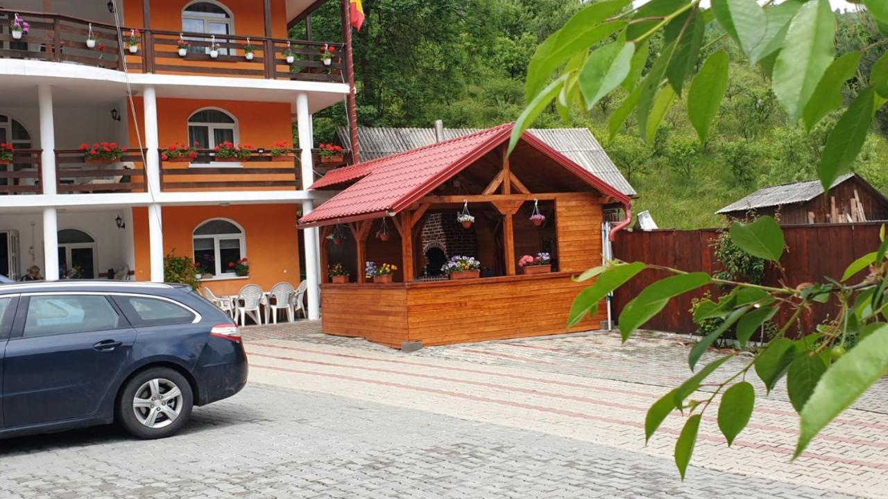 Penzion Casa Cristalina&Dumi Albac Exteriér fotografie
