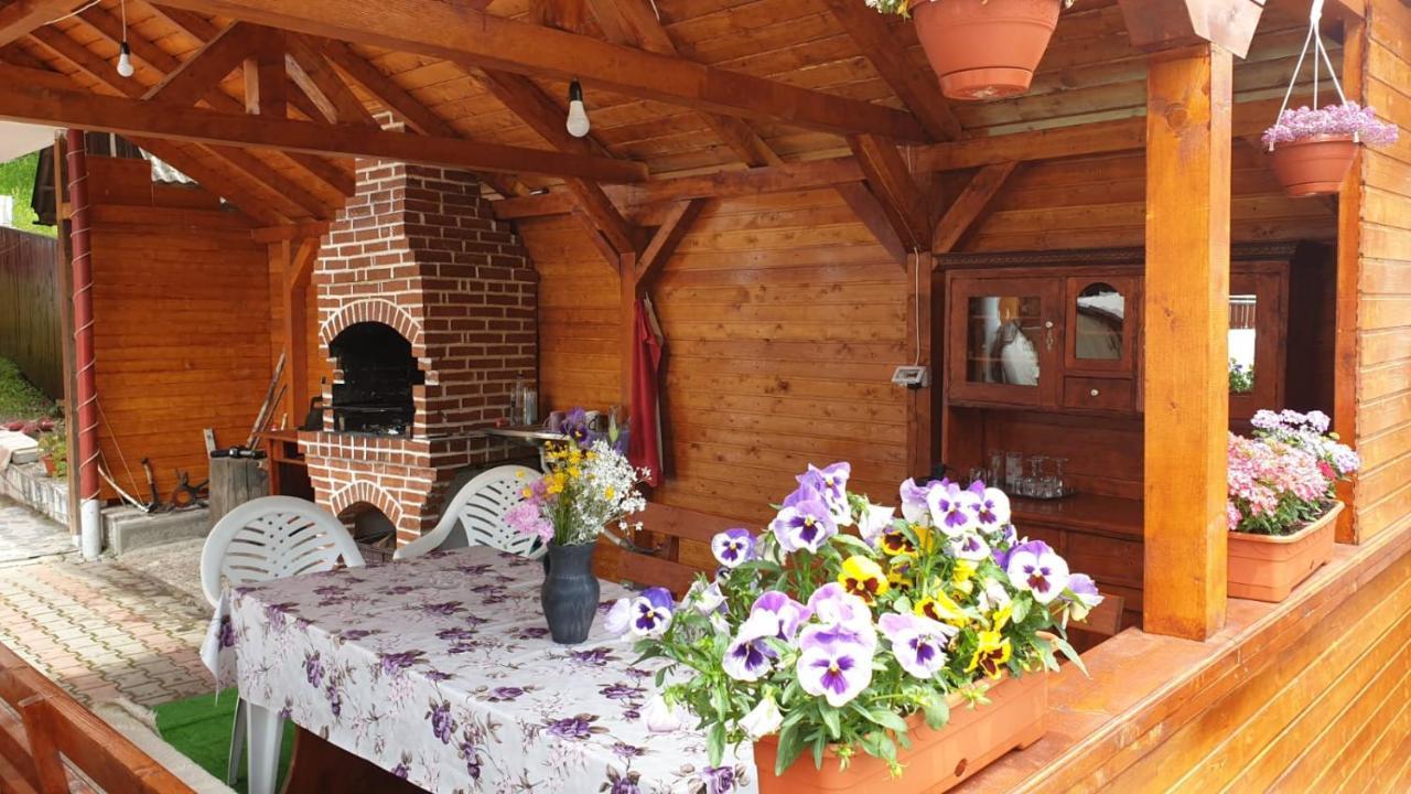 Penzion Casa Cristalina&Dumi Albac Exteriér fotografie