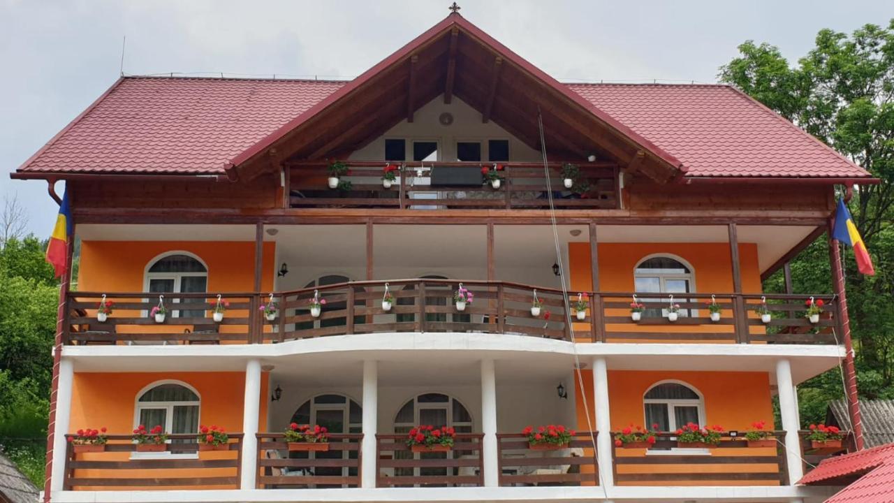 Penzion Casa Cristalina&Dumi Albac Exteriér fotografie