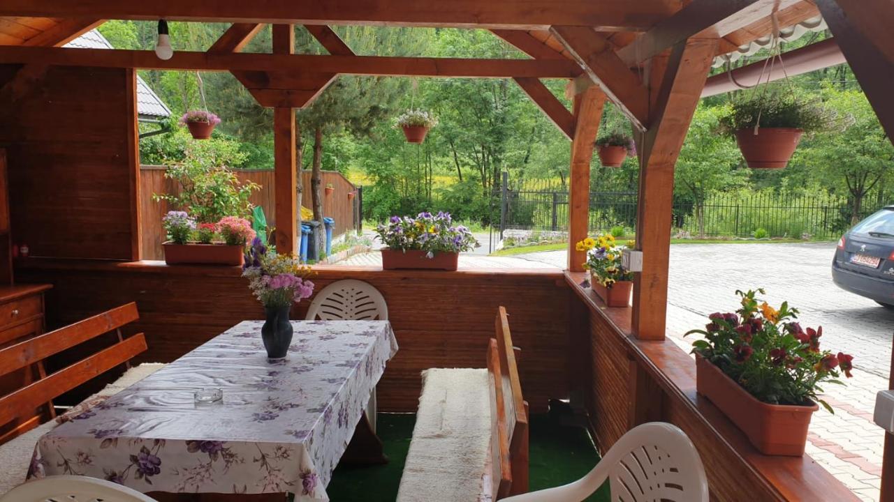 Penzion Casa Cristalina&Dumi Albac Exteriér fotografie