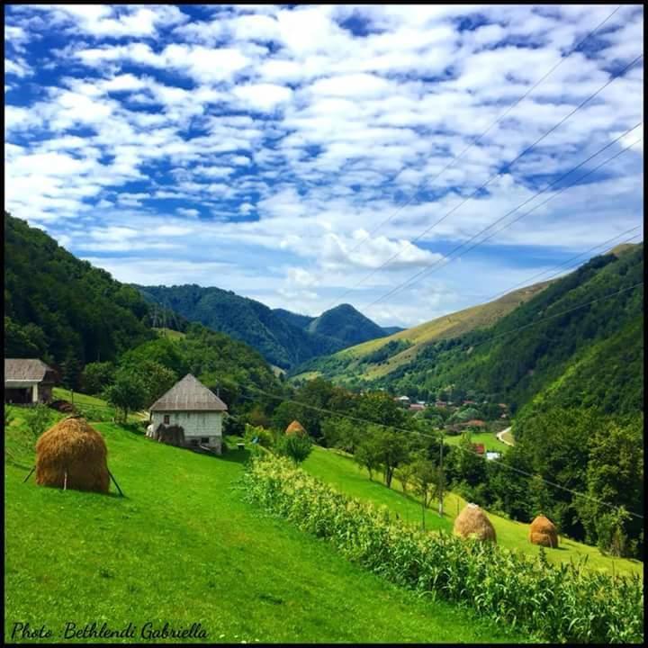 Penzion Casa Cristalina&Dumi Albac Exteriér fotografie